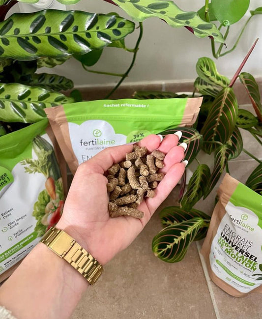 Fertilaine : booster la croissance de vos plantes avec un engrais naturel.