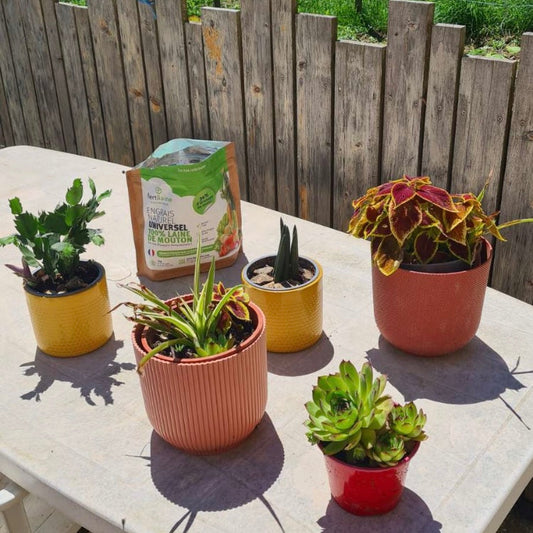 Fertilaine : une innovation agricole au service des jardiniers