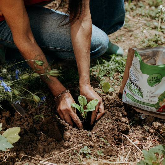 Fertilaine : l'engrais idéal pour les jeunes plantations.