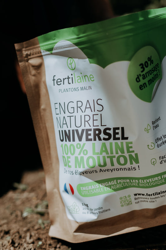 La laine de mouton : un trésor naturel pour vos plantes