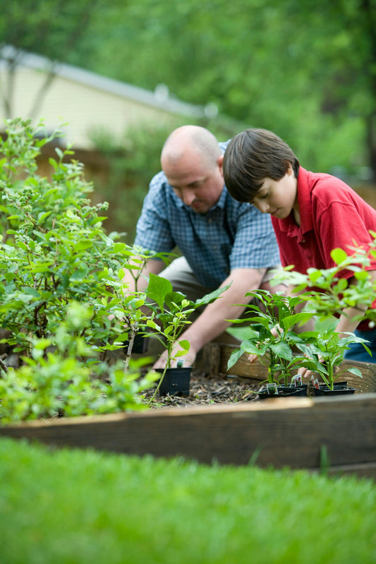 Les bienfaits de l'engrais naturel pour le potager.
