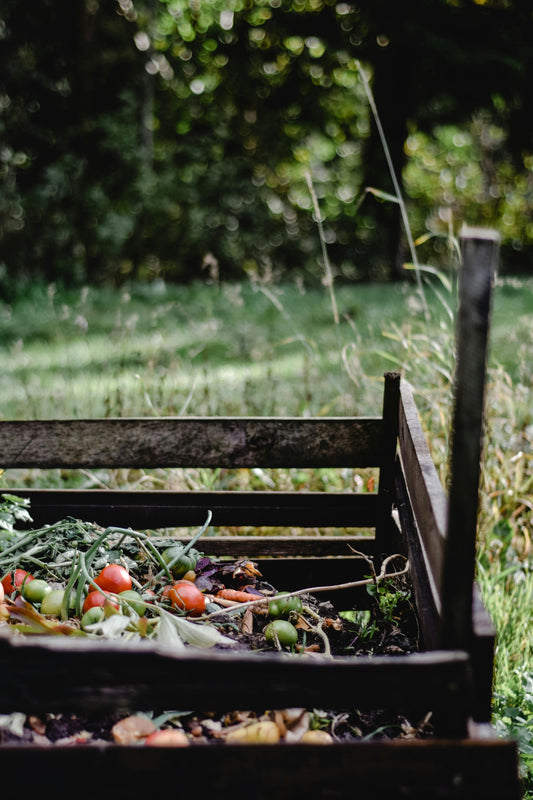 🍊 Peut-on mettre des agrumes dans le compost ?