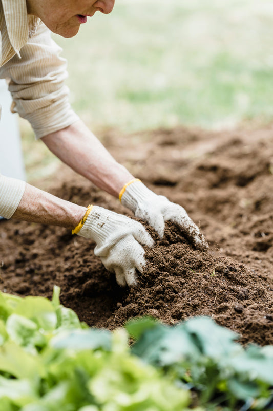 Jardinage durable : 5 bonnes pratiques à adopter dès maintenant