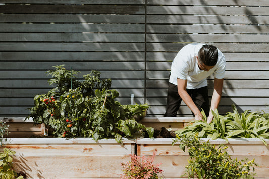 🌸 Créez une jardinière fleurie éclatante avec Fertilaine
