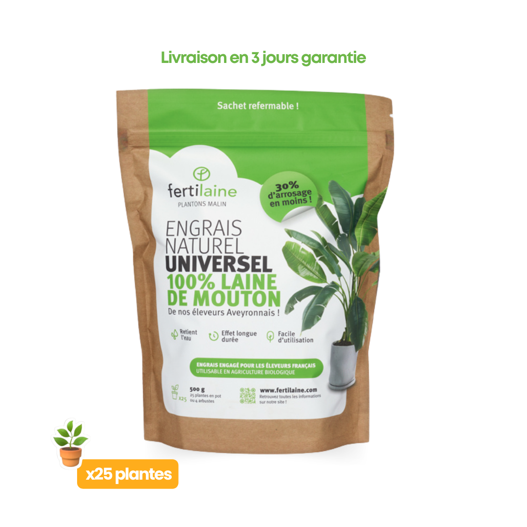 Engrais pour plantes d'Intérieur