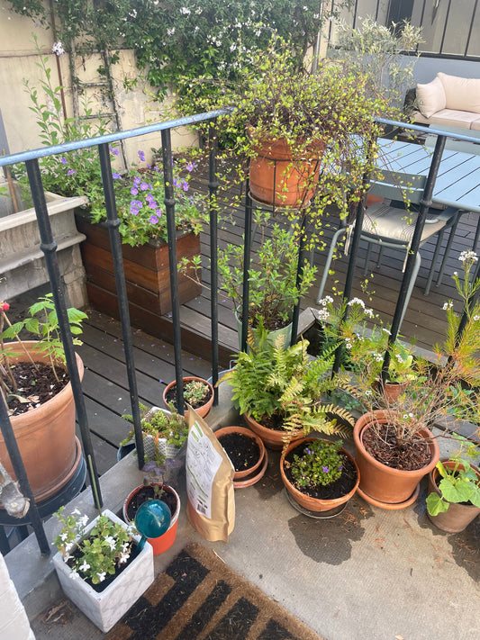 🌿 Comment aménager un petit balcon en ville ?