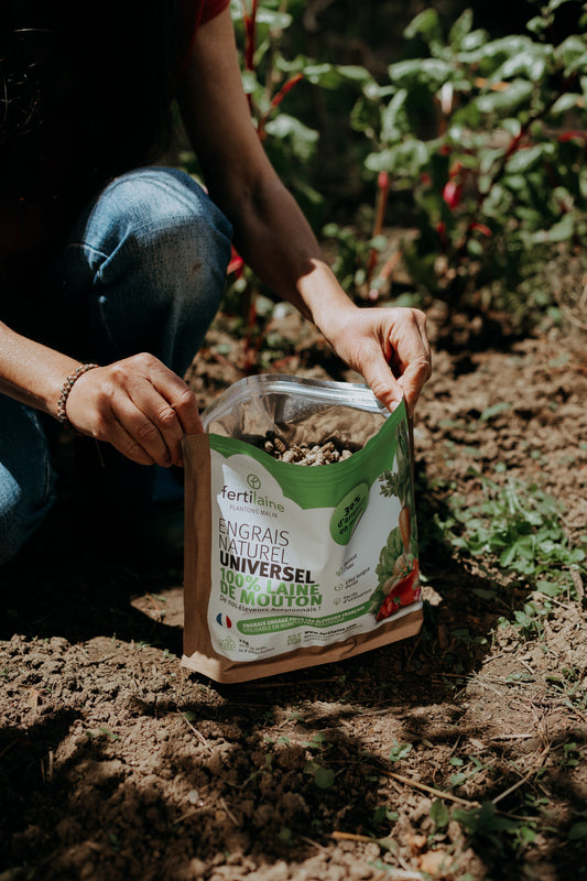 🌱 Comment nourrir et fertiliser naturellement vos légumes avec Fertilaine