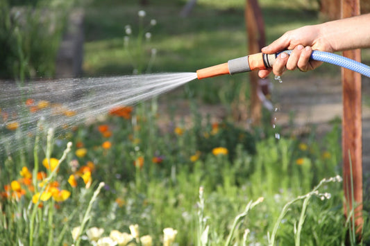 Arrosage du jardin et du potager : le guide complet pour bien arroser et économiser l'eau