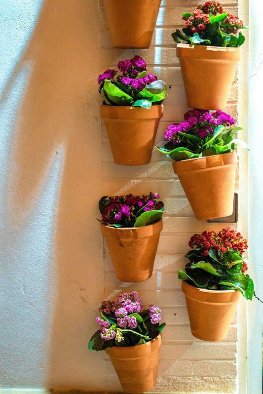 Jardiner en pots : secrets pour créer un balcon qui fait rêver