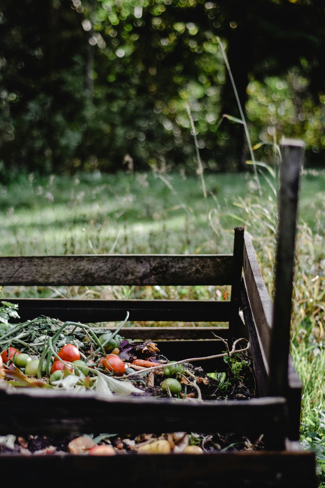 🍊 Peut-on mettre des agrumes dans le compost ?