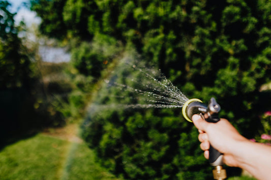 Que faire au jardin en juillet ? Conseils pratiques pour un été serein
