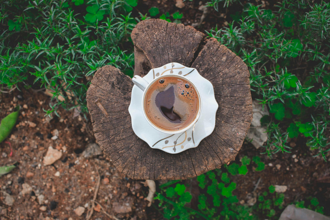 Le marc de café au potager : astuces naturelles avec Fertilaine