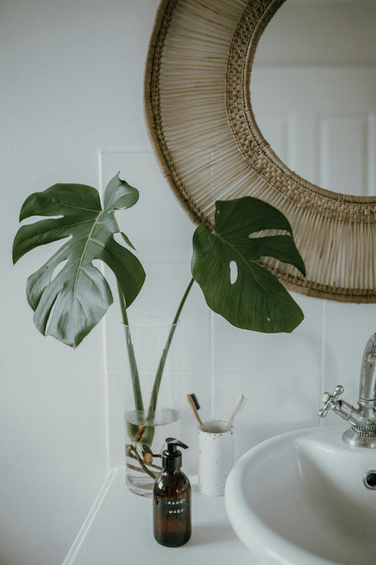 Quelles plantes choisir pour sublimer votre salle de bain ?