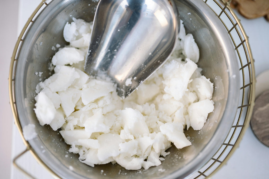 Le bicarbonate de soude : un allié naturel pour vos plantes