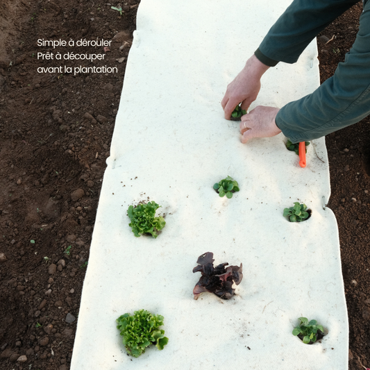 Pack Découverte fertilaine®