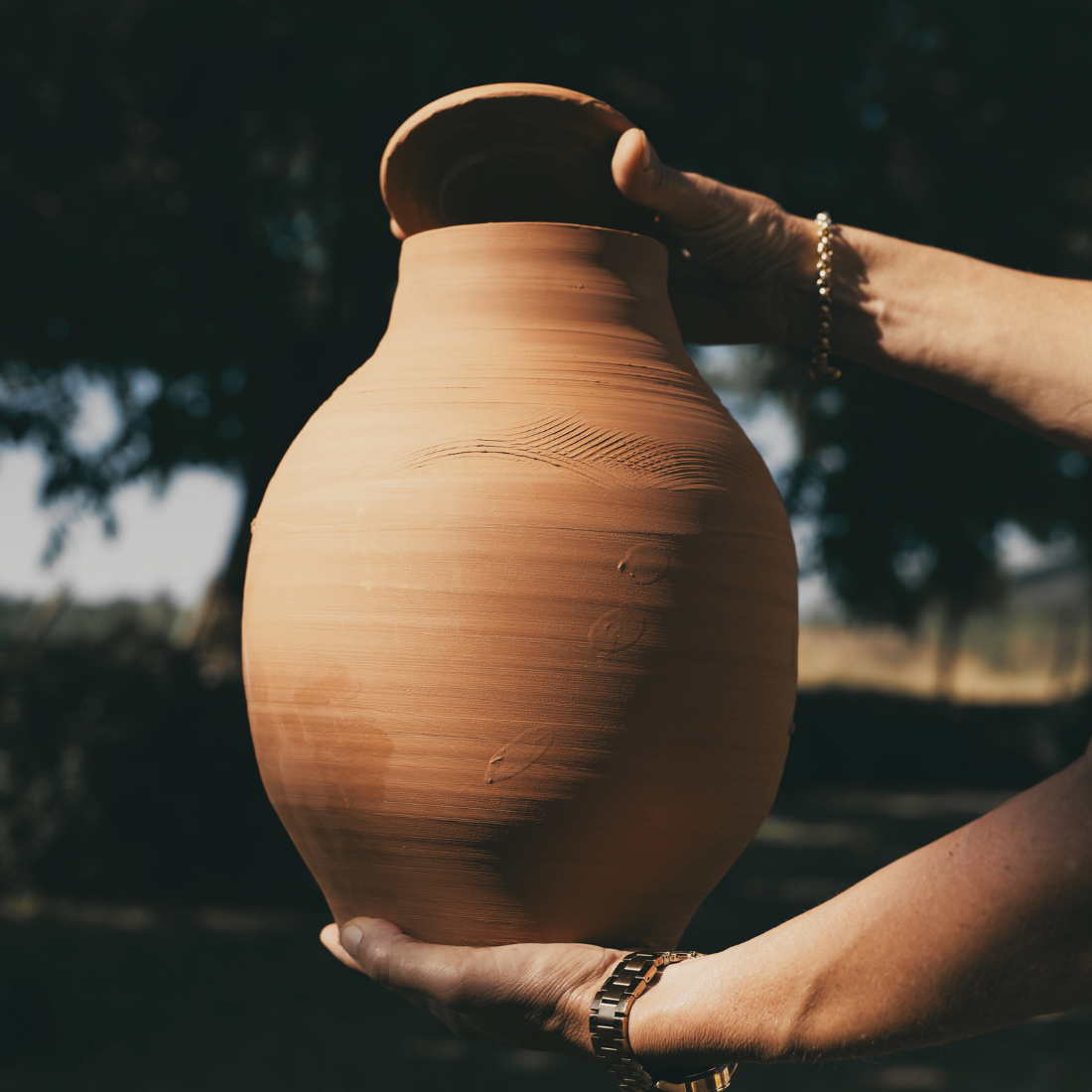 Olla à enterrer fertilaine® - Fabriquée en France 🇫🇷