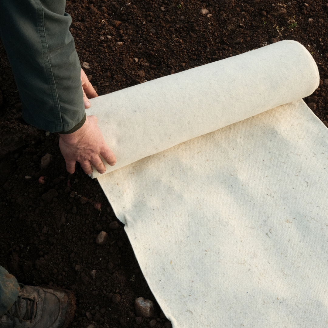 Pack Essentiel fertilaine®