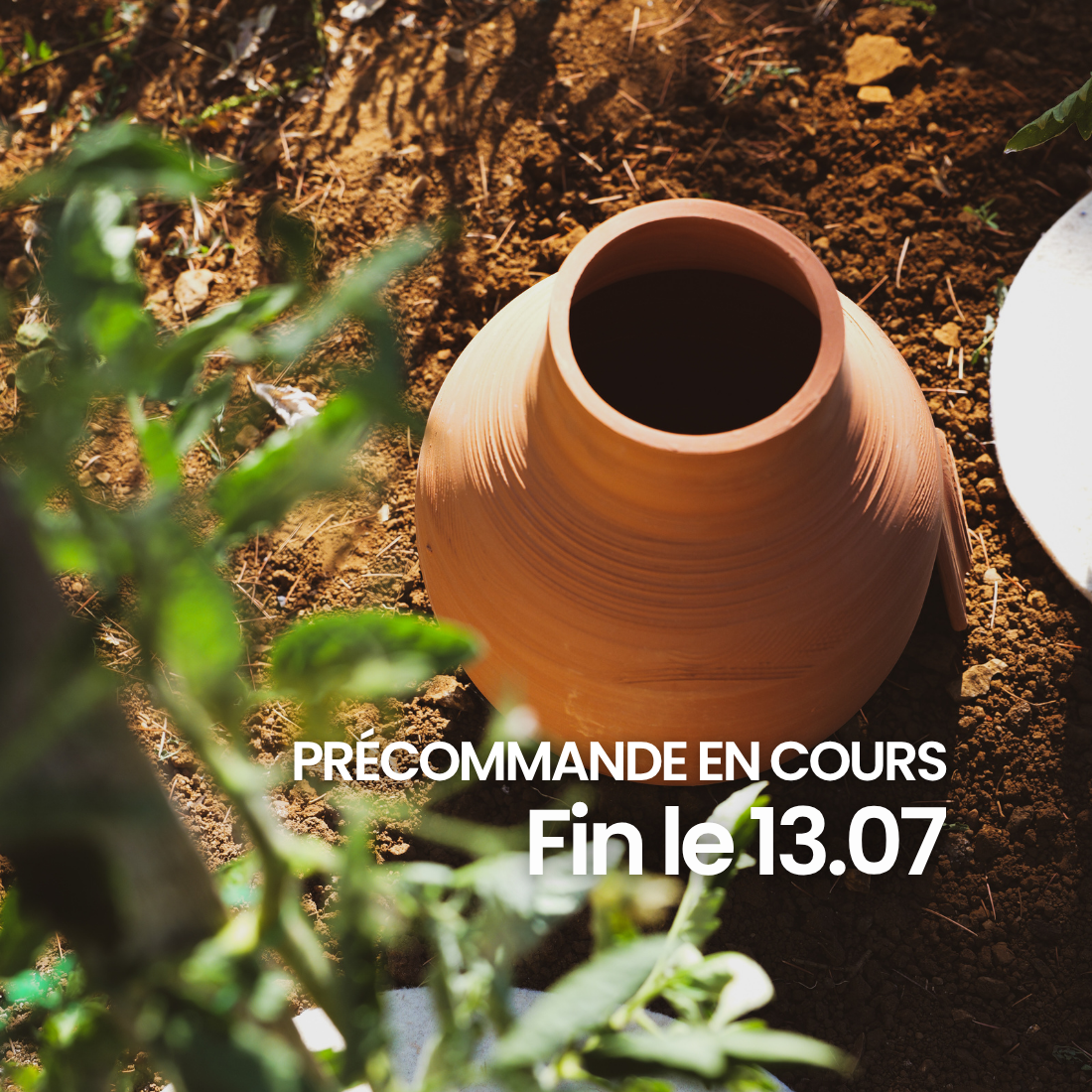 Olla à enterrer fertilaine® - Fabriquée en France 🇫🇷