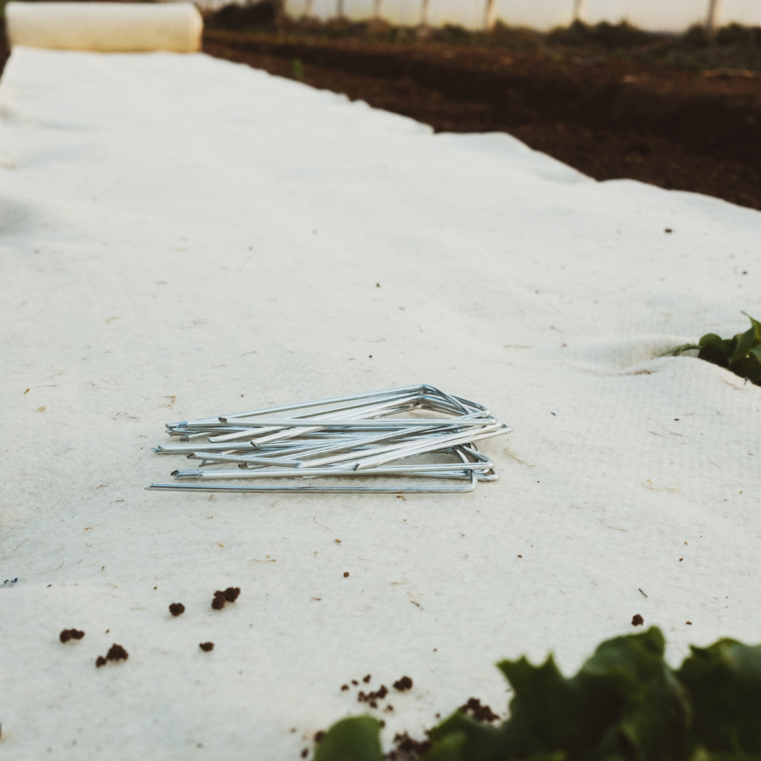 Agrafes pour paillages x10