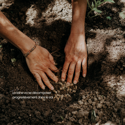 Engrais pour Jardin et potager