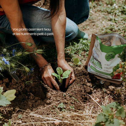 Engrais pour Jardin et potager