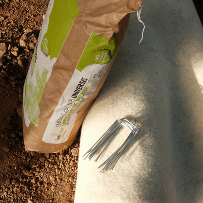 Pack Essentiel fertilaine®