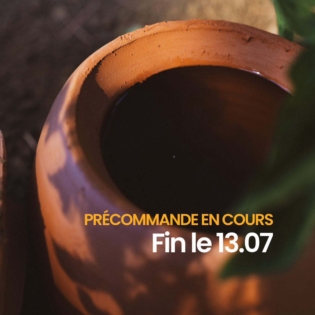 Olla à planter fertilaine® - Fabriquée en France 🇫🇷