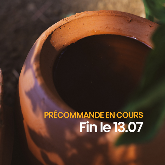 Olla à planter fertilaine® - Fabriquée en France 🇫🇷