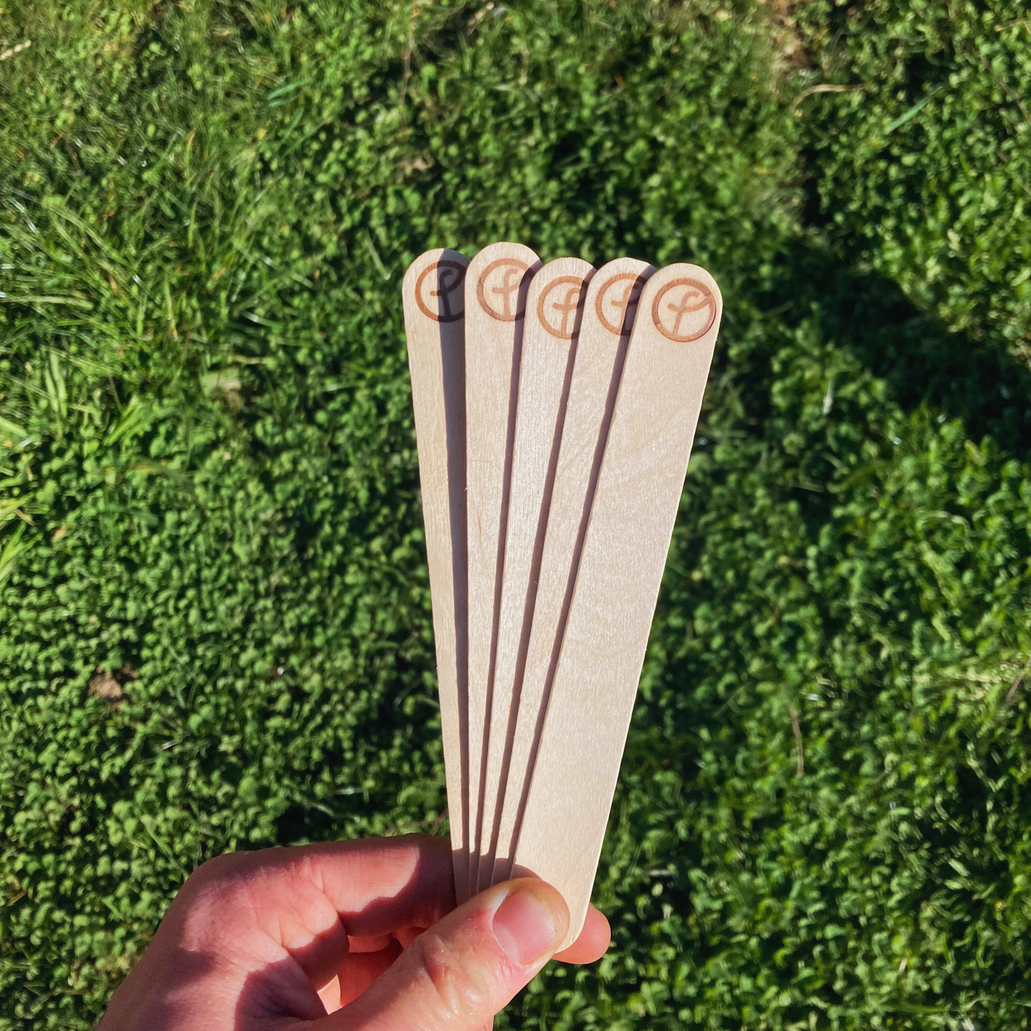 Étiquettes de jardin bois - x10