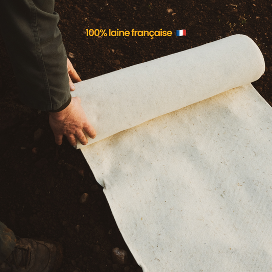Rouleau paillage 100% laine - Fabriqué en France 🇫🇷
