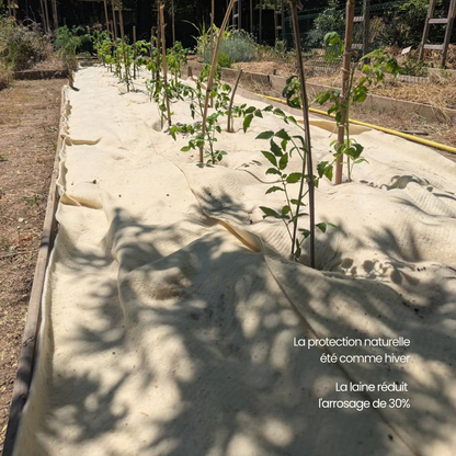 Pack Essentiel fertilaine®