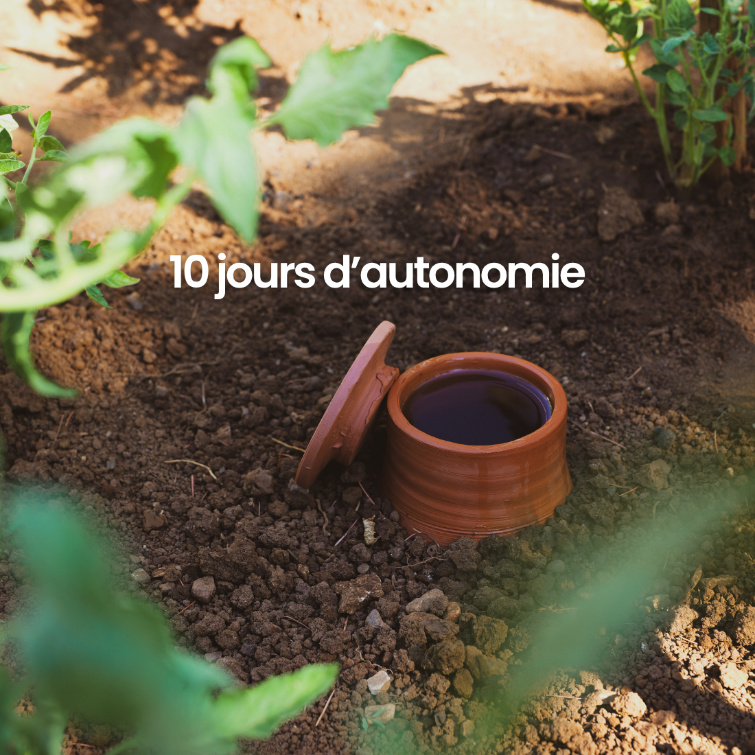 Olla à enterrer fertilaine® - Fabriquée en France 🇫🇷
