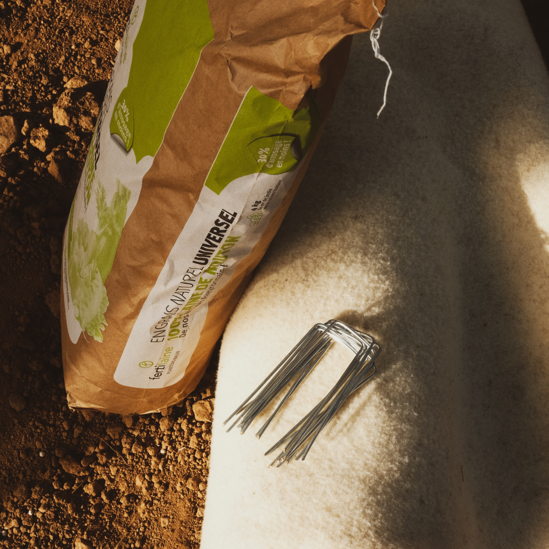 Pack Essentiel fertilaine®
