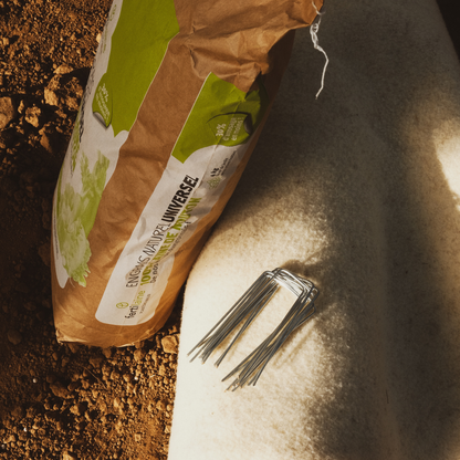 Pack Essentiel fertilaine®