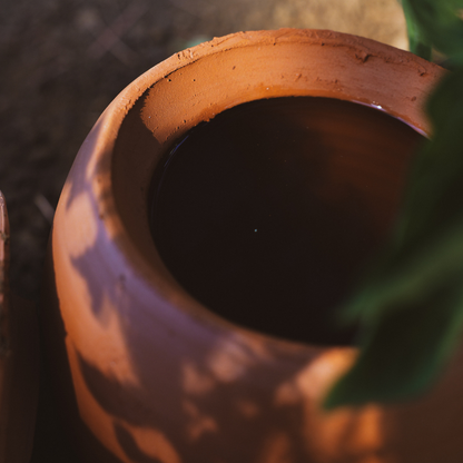 Pflanz-Olla fertilaine® – Hergestellt in Frankreich 🇫🇷