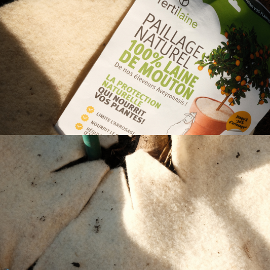 Pack Plantes vertes, fleurs & agrumes fertilaine®