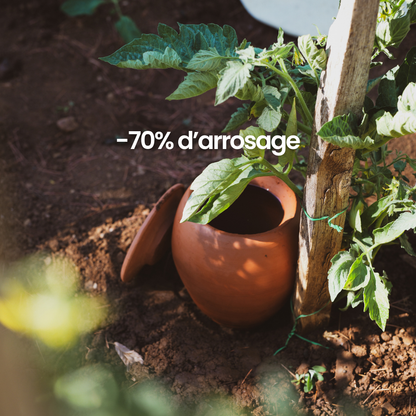 Pflanz-Olla fertilaine® – Hergestellt in Frankreich 🇫🇷
