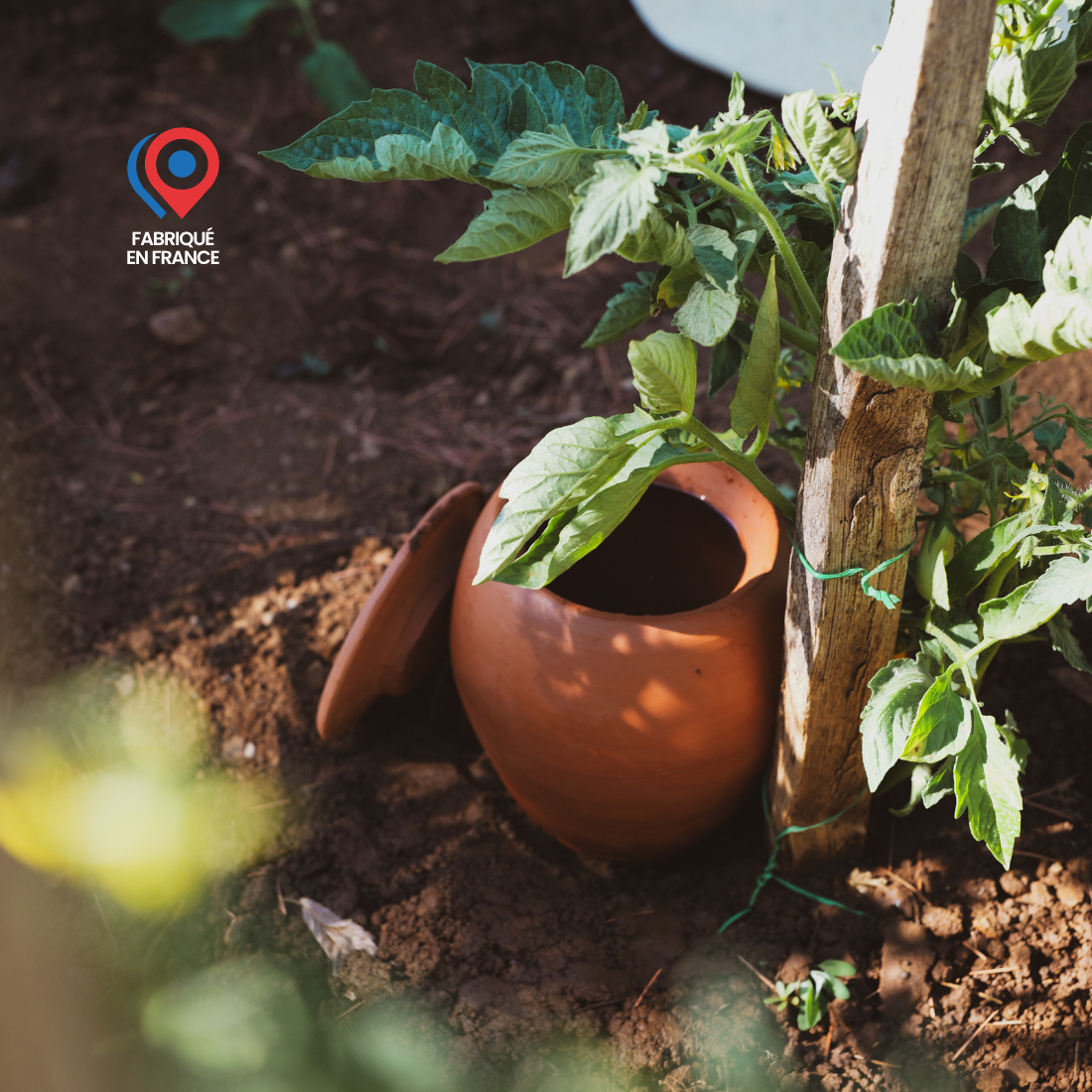 Pack x3 Ollas à planter fertilaine®-Fabriquées en France 🇫🇷