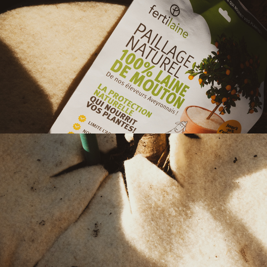 Pack Plantes vertes, fleurs & agrumes fertilaine®