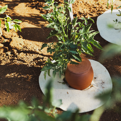 Olla à planter fertilaine® - Fabriquée en France 🇫🇷