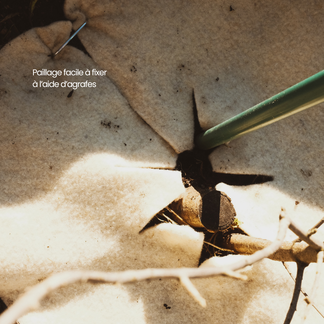 Agrafes pour paillages x10