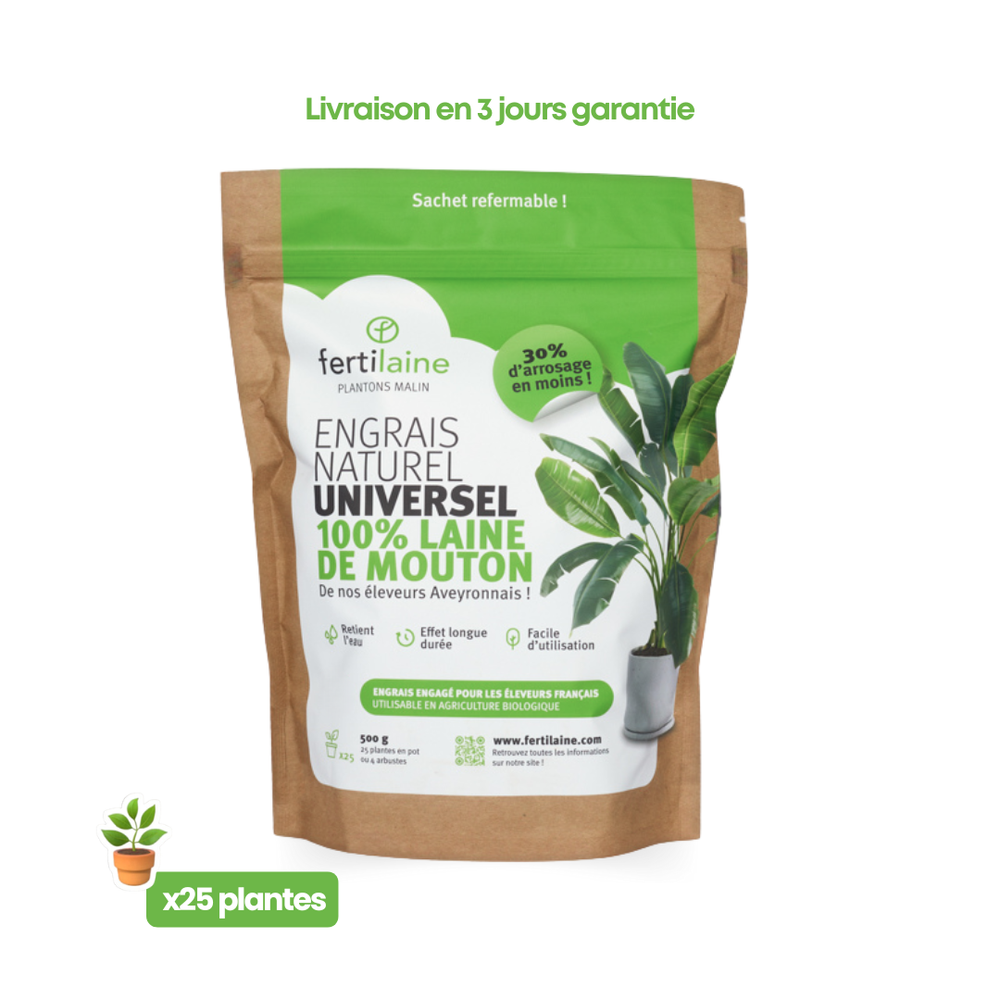 Engrais pour plantes d'Intérieur
