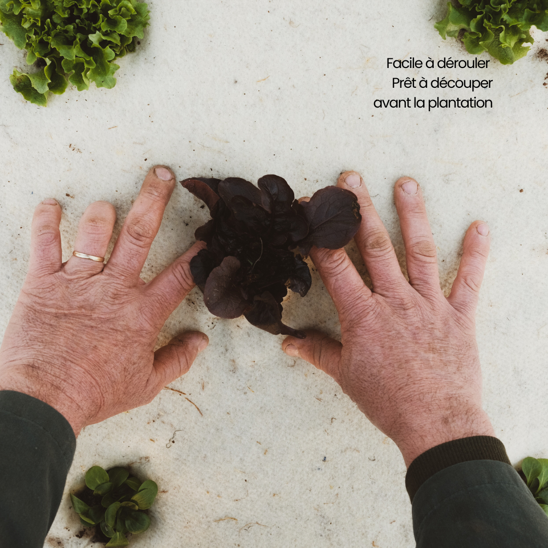 Pack Essentiel fertilaine®