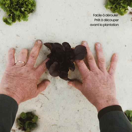 Pack Découverte fertilaine®