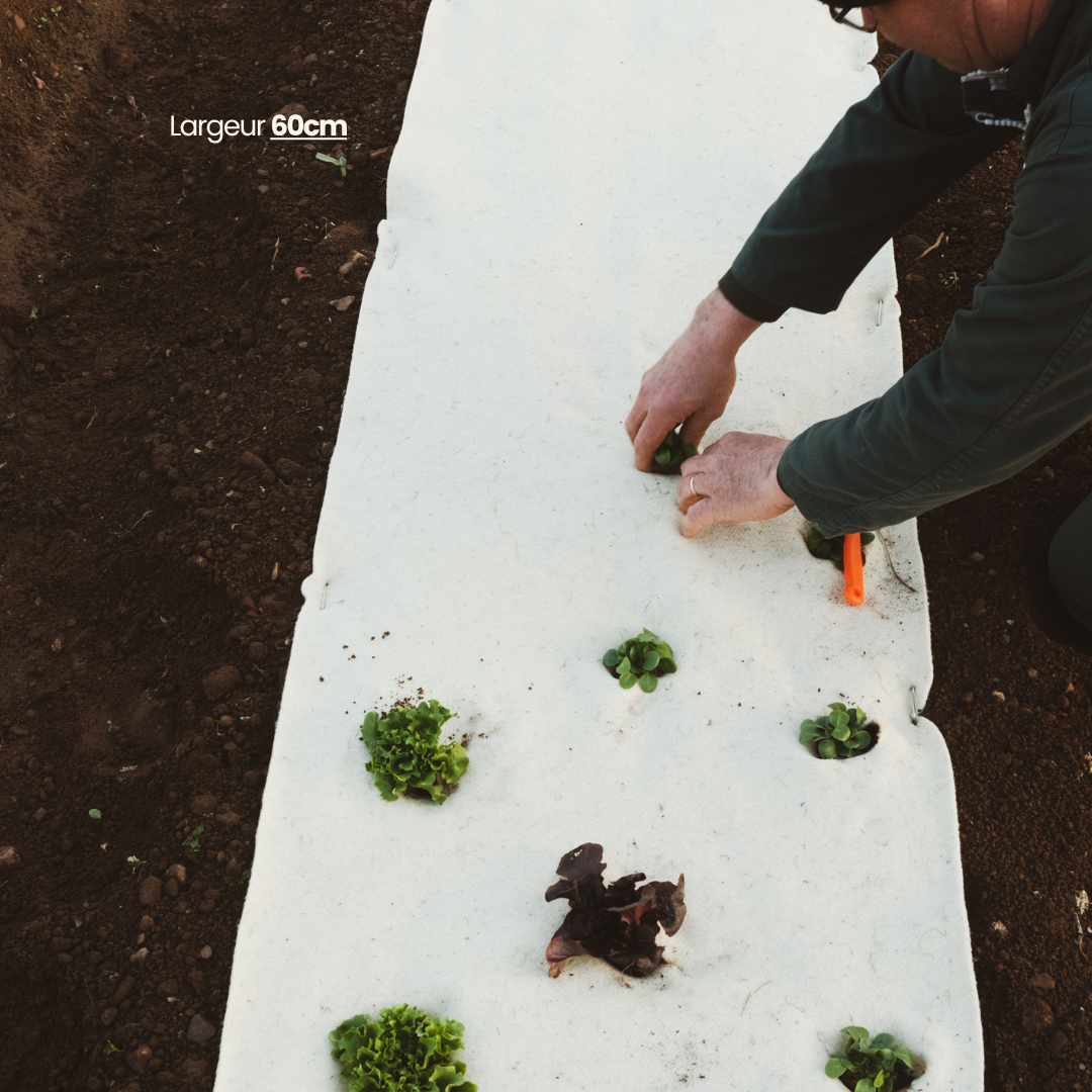 Rouleau paillage 100% laine - Fabriqué en France 🇫🇷
