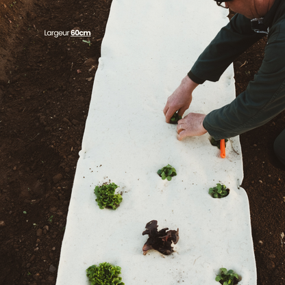 Rouleau paillage 100% laine - Fabriqué en France 🇫🇷