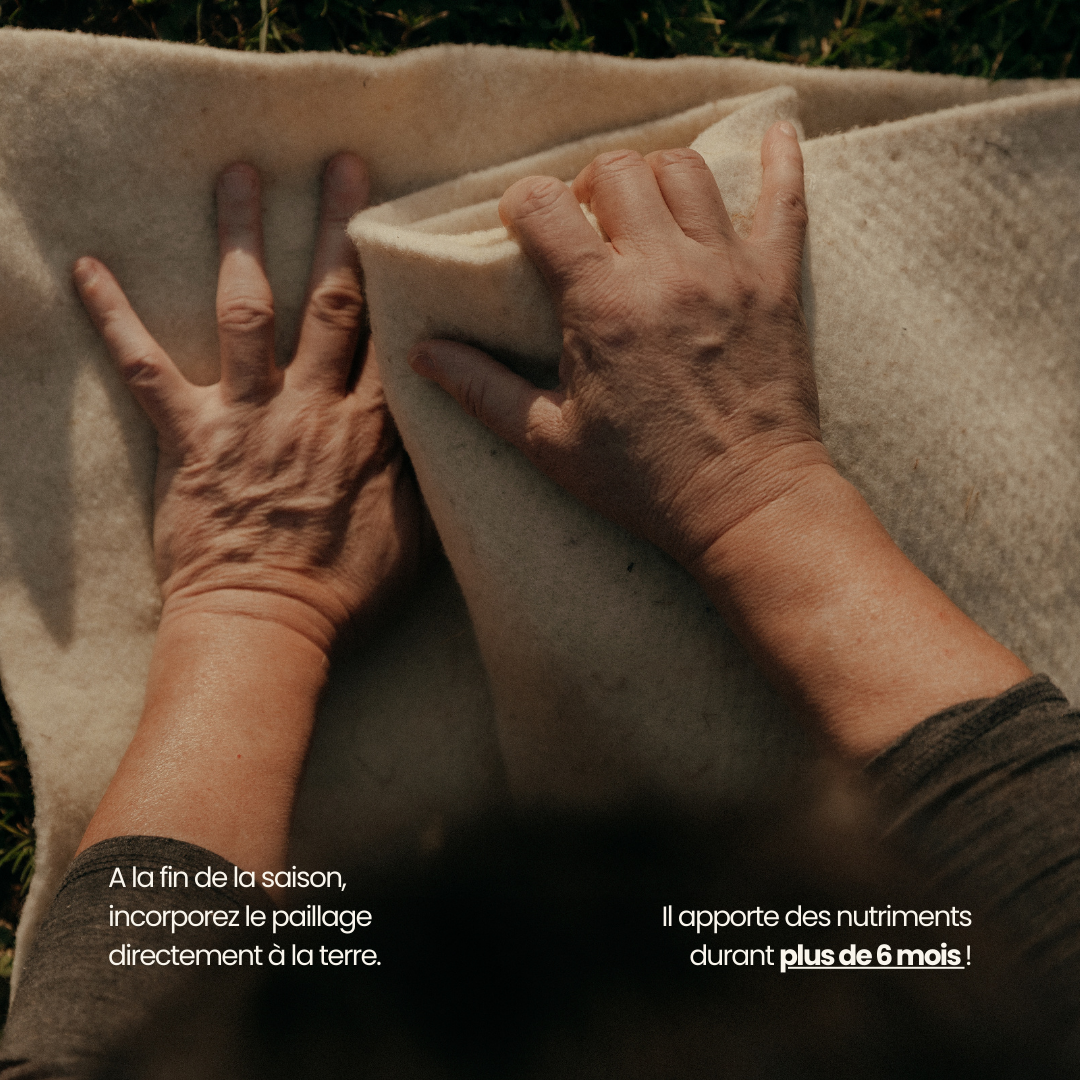 Rouleau paillage 100% laine - Fabriqué en France 🇫🇷