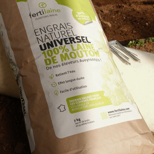 Pack Expert fertilaine®