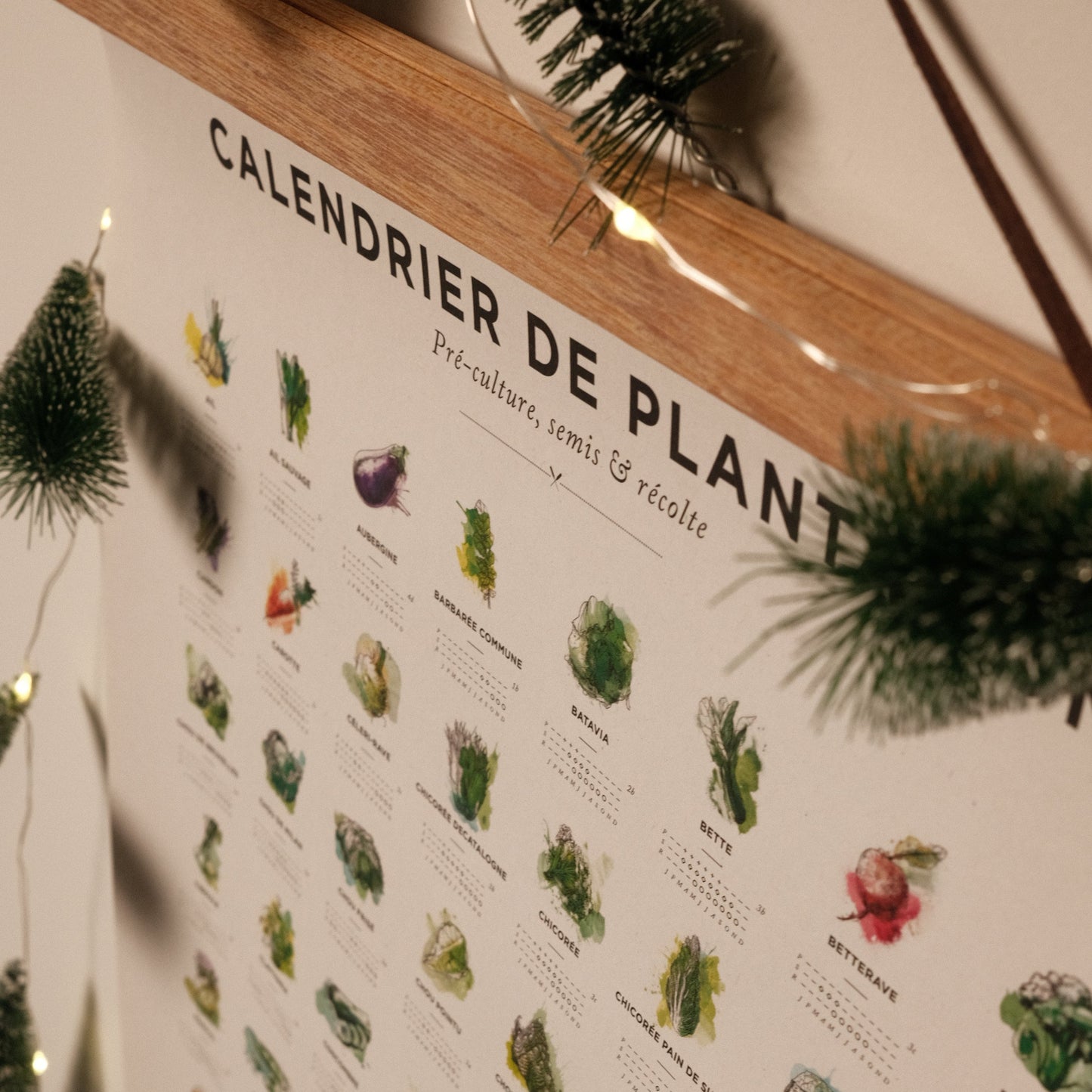 Affiche calendrier plantation 30x40cm