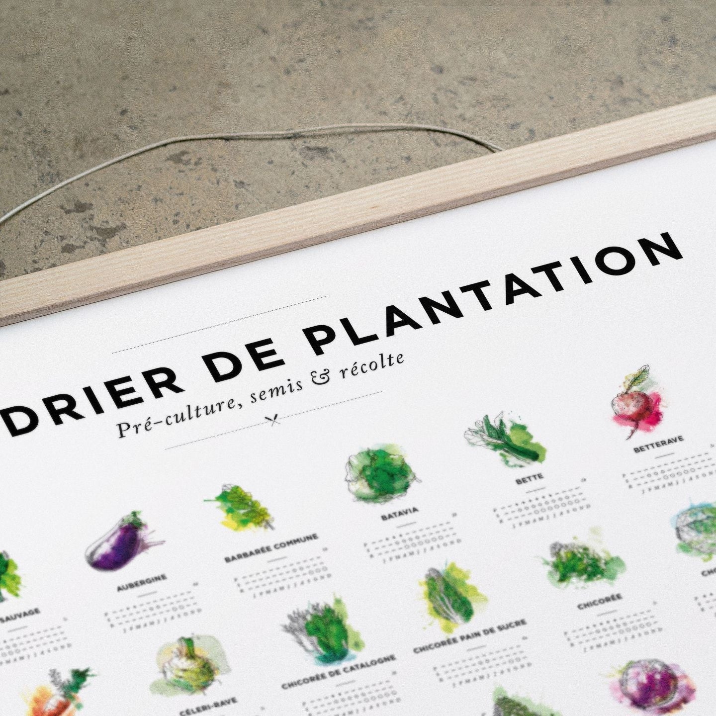 Affiche calendrier plantation 30x40cm